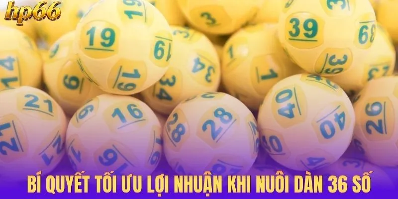 Bí quyết tối ưu lợi nhuận khi nuôi dàn 36 số